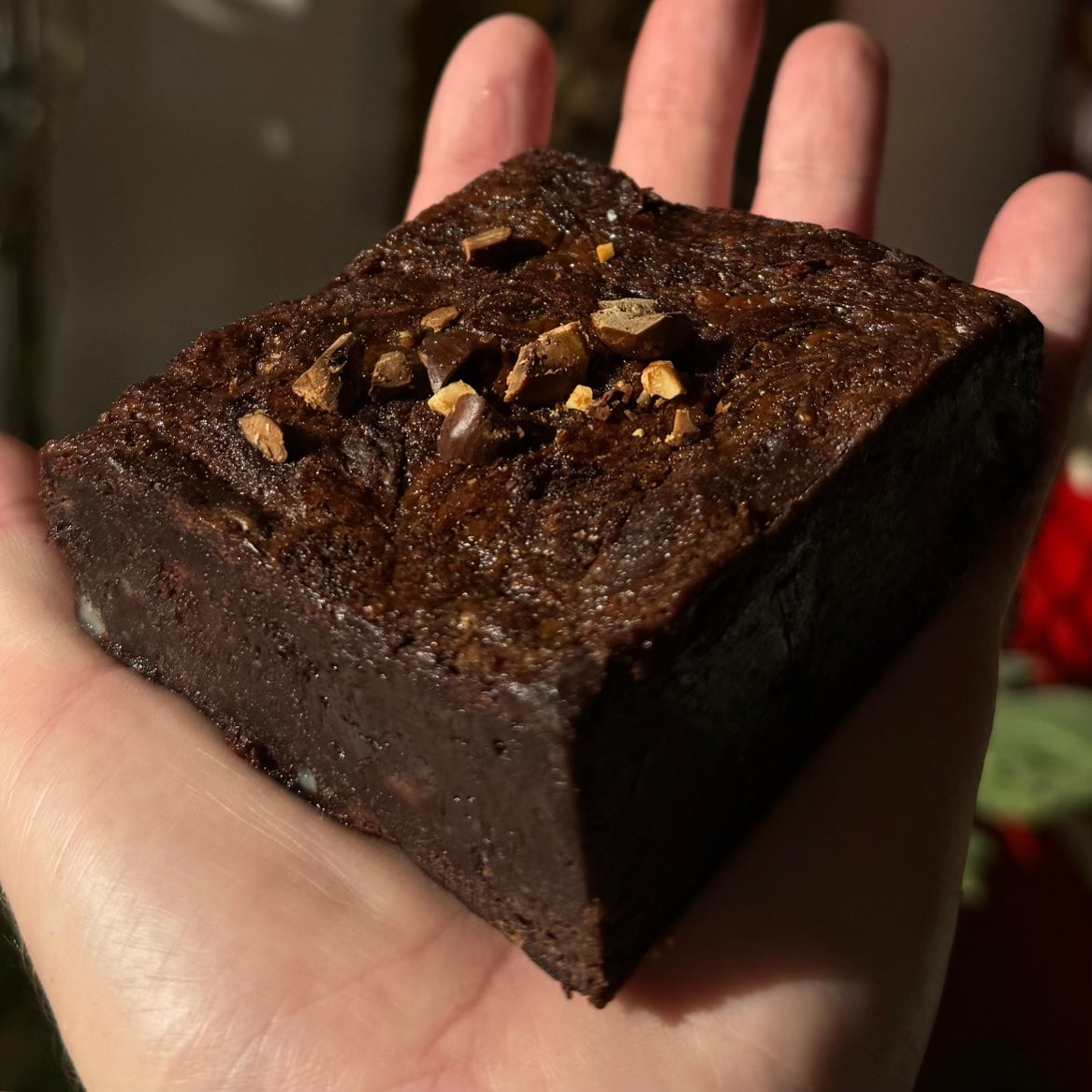 Fudgy Hazelnut Brownies