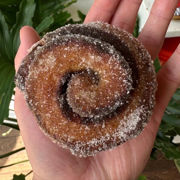 Chocolate Babka Bun