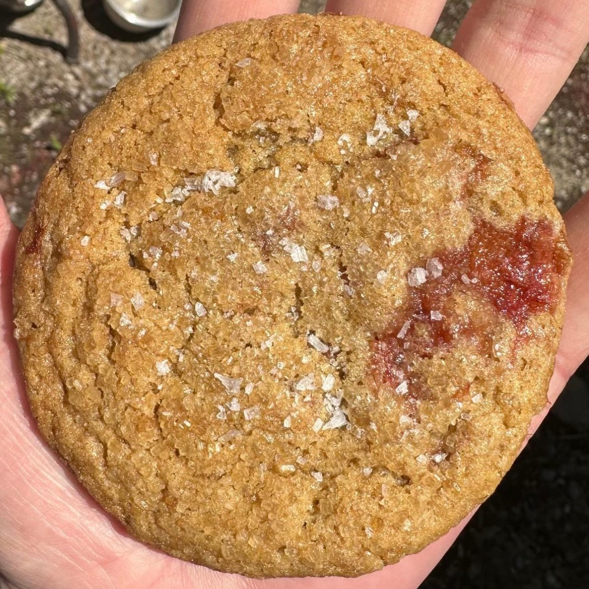 Pure & Simple Farms Rhubarb Marbled Sweet Rye Cookie!