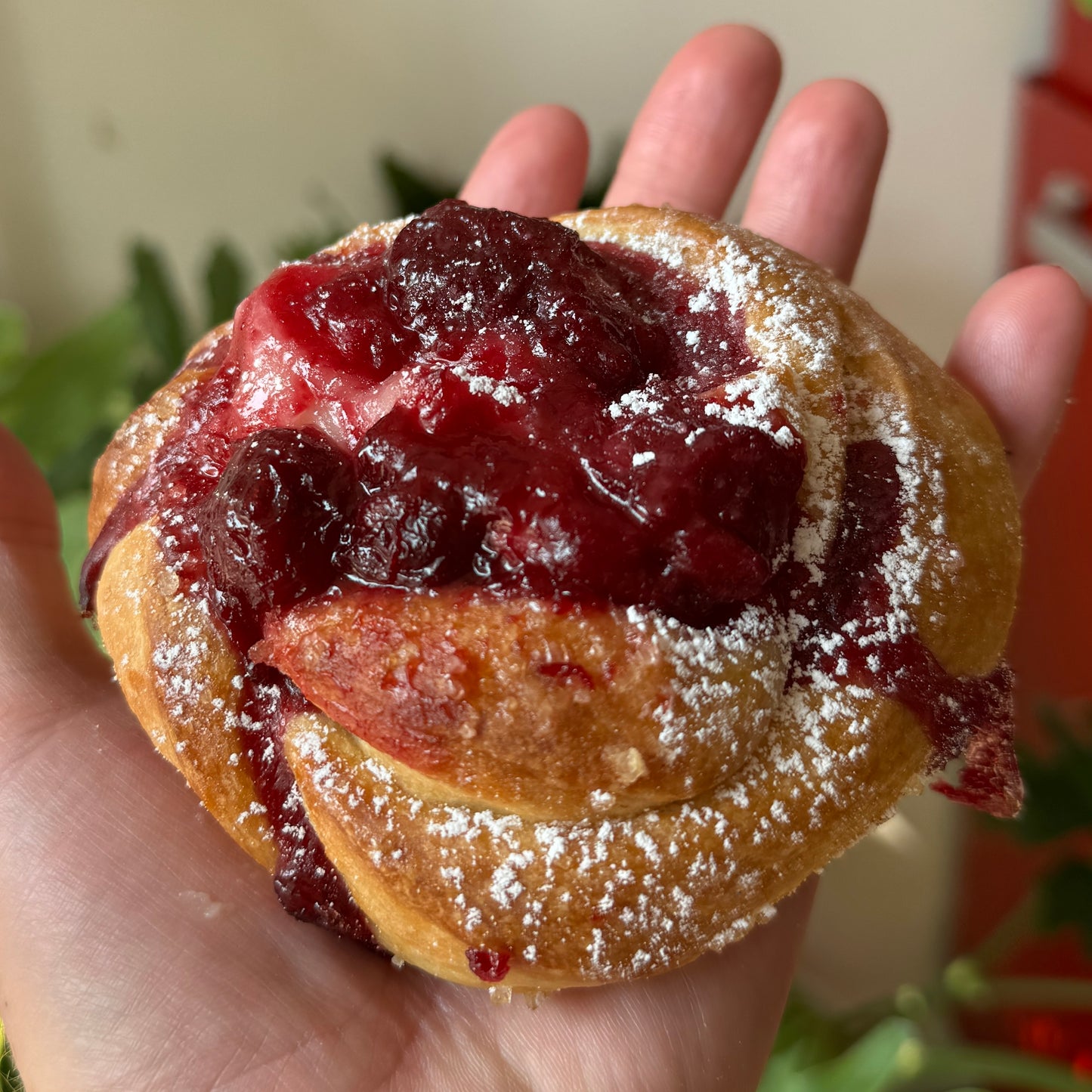 Cherry Seasonal Cheesecake Braids